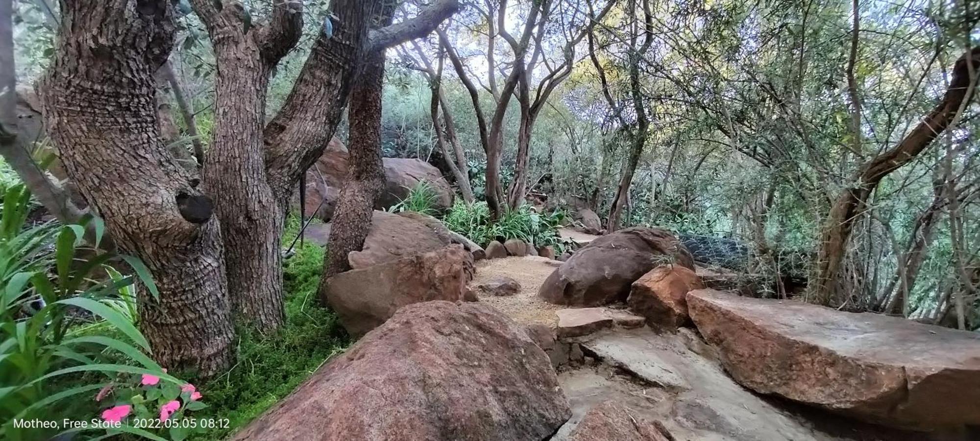 Mountain Gem Panzió Bloemfontein Kültér fotó