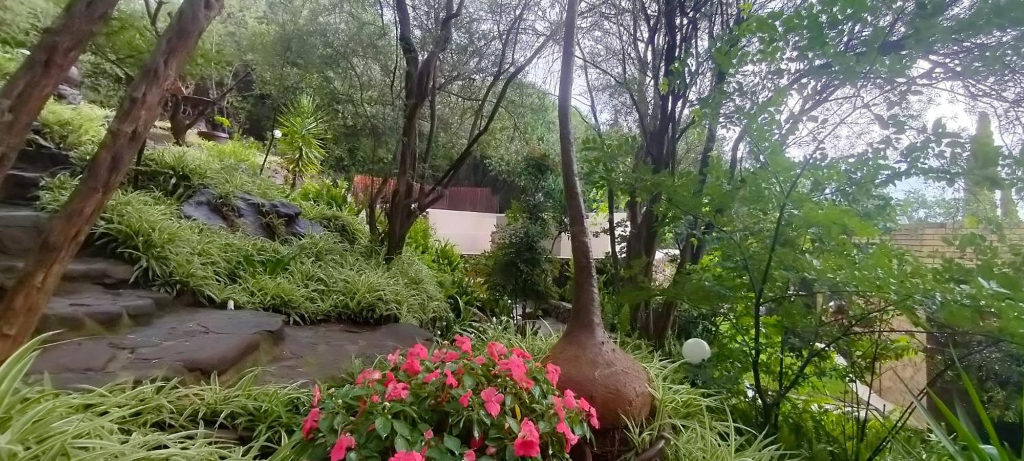 Mountain Gem Panzió Bloemfontein Kültér fotó