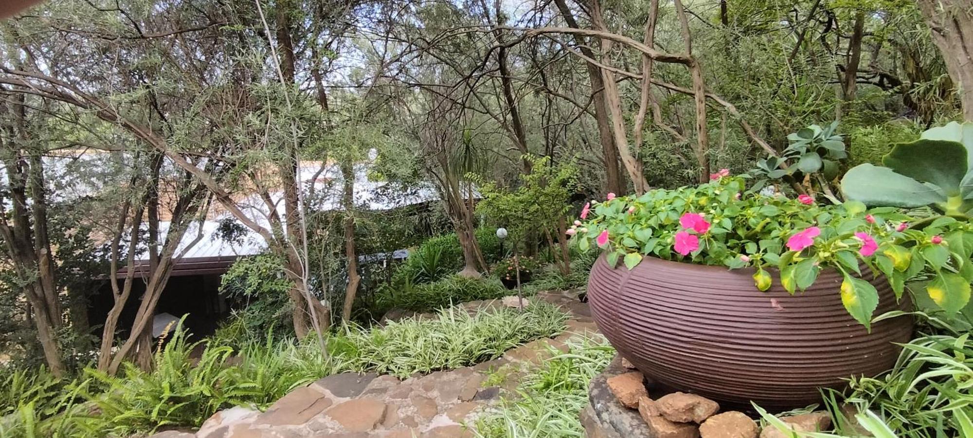 Mountain Gem Panzió Bloemfontein Kültér fotó